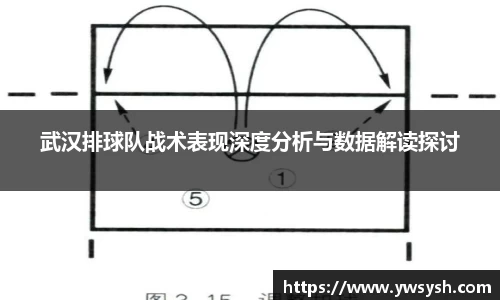 3377体育app