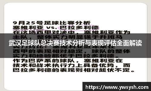 武汉足球队总决赛技术分析与表现评估全面解读