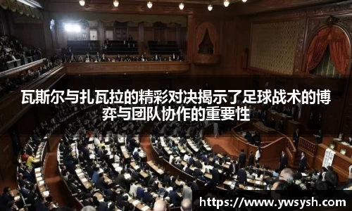 3377体育平台